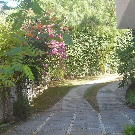 Jacaranda Vila *